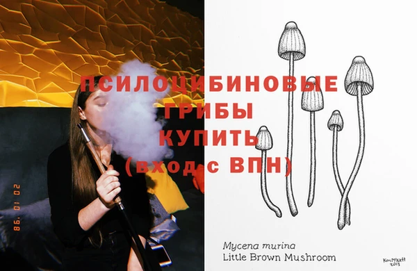 2c-b Аркадак