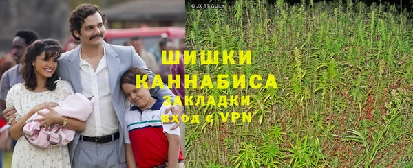 spice Алексеевка